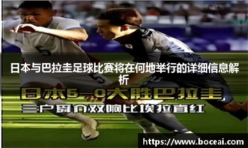 星空XK体育登录入口